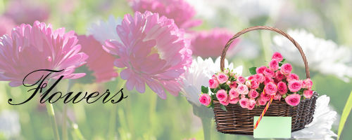 Flowers to Delhi Dwarika