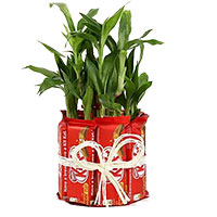 Send Valentine's Day Gifts to India