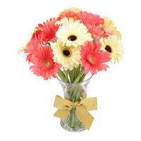 Best Online Flowers to India : Mix Gerbera