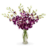 Best Online Flower Delivery in India