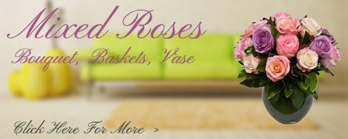 Mixed Roses to Erode