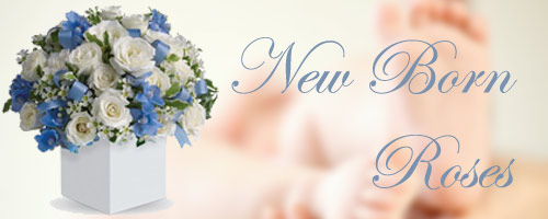 New Born Roses to India